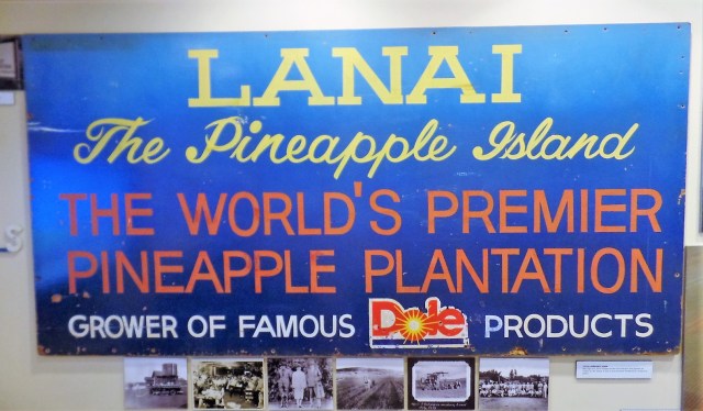 Dole in Lena'i