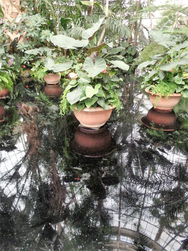 Hawaii vision exhibit