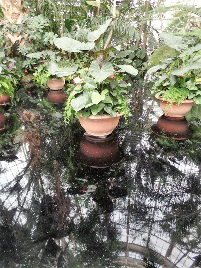 Hawaii vision exhibit