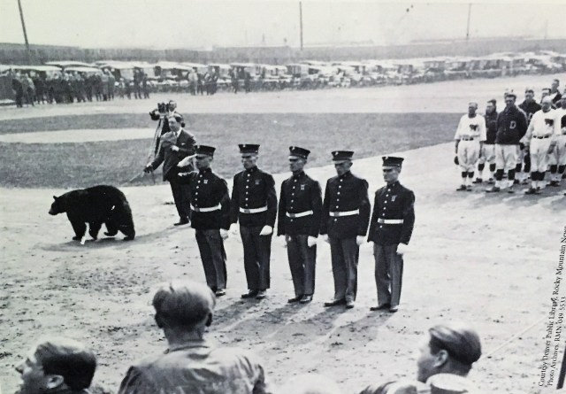 Denver baseball team's bear mascot