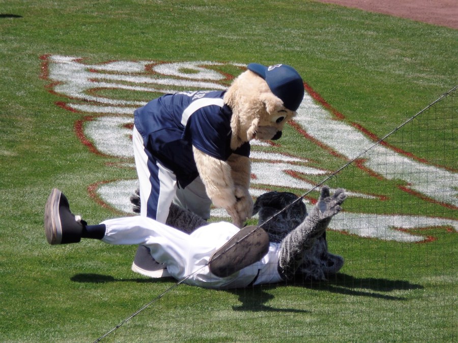 Mascots wrestle at TD Bank Ballpark