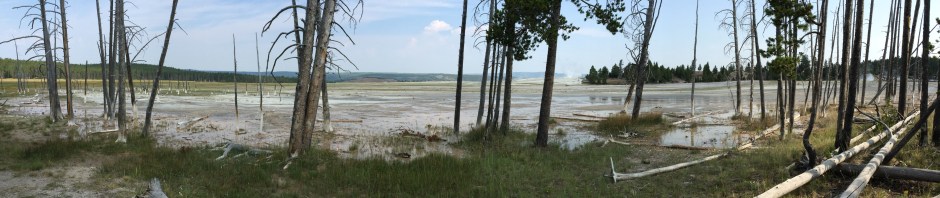 Mammoth Hot Springs