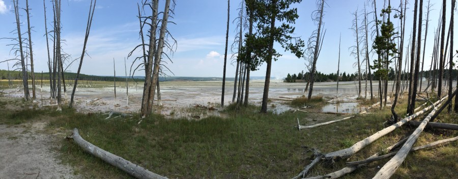 Mammoth Hot Springs