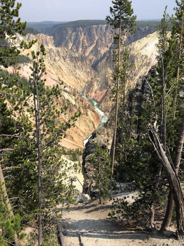 Grand Canyon of Yellowstone