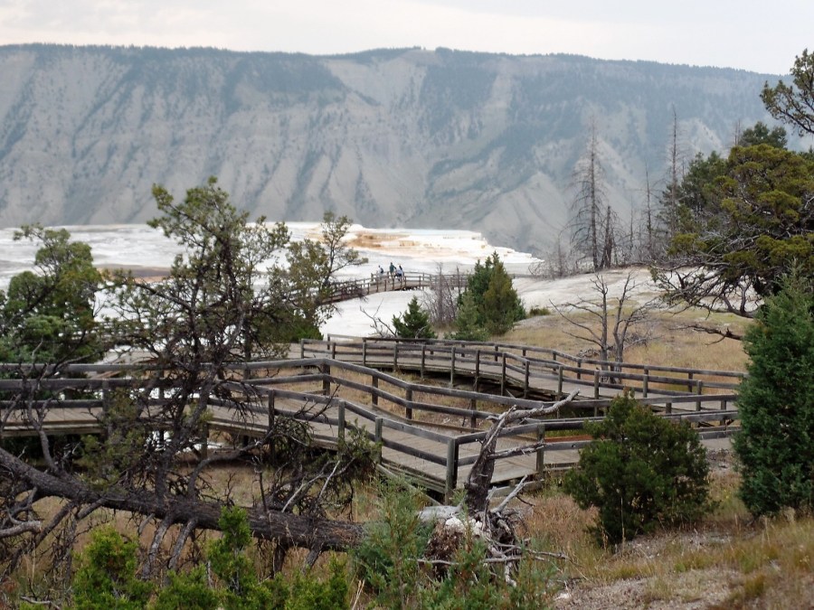 Yellowstone National Park