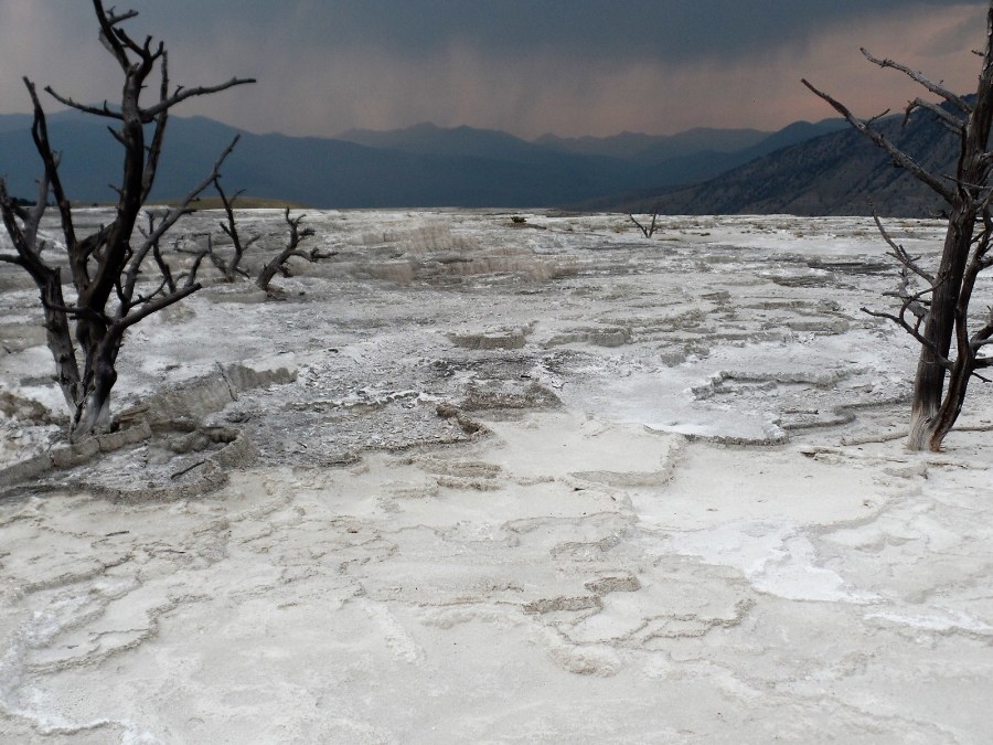 Mammoth Hot Springs