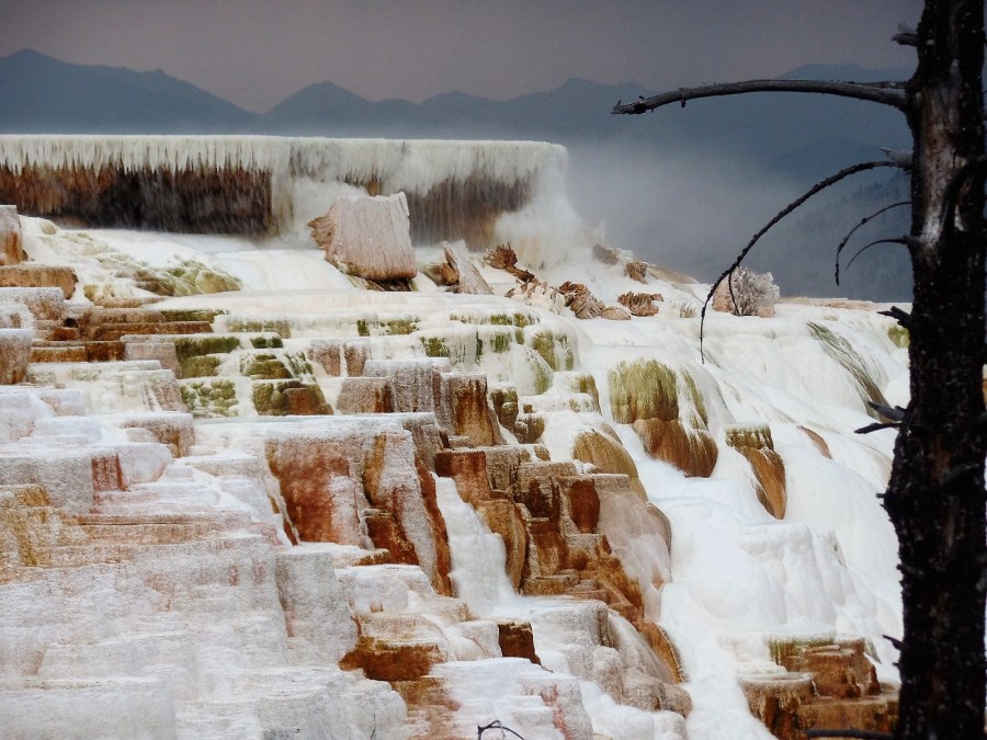 Mammoth Hot Springs