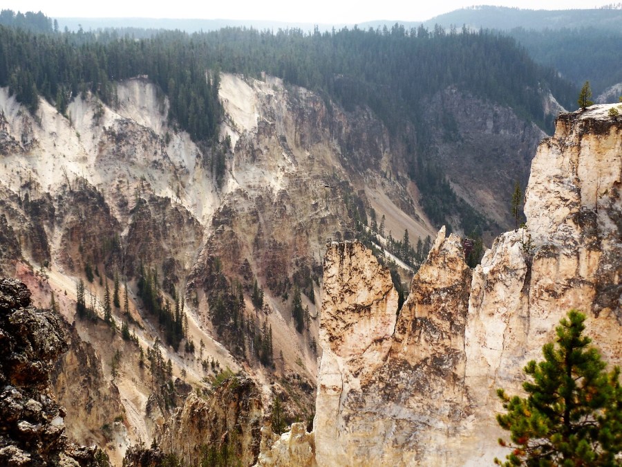 Grand Canyon of Yellowstone