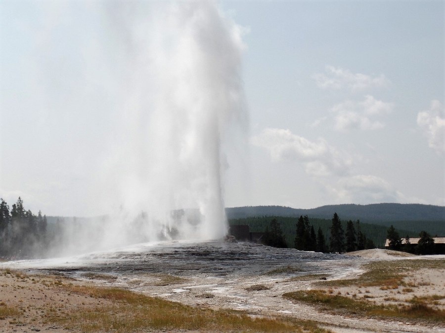 Old Faithful