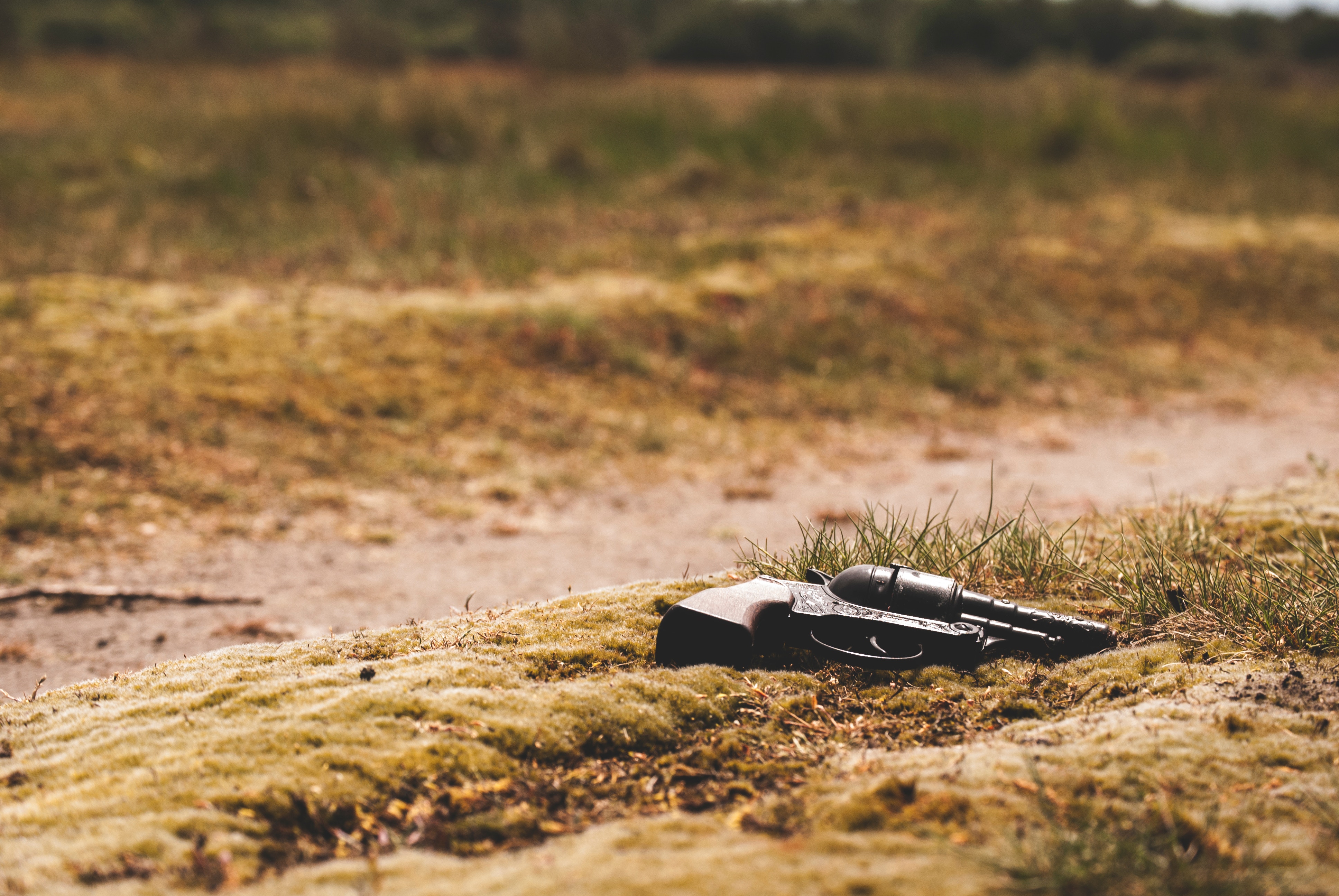 Gun on the ground