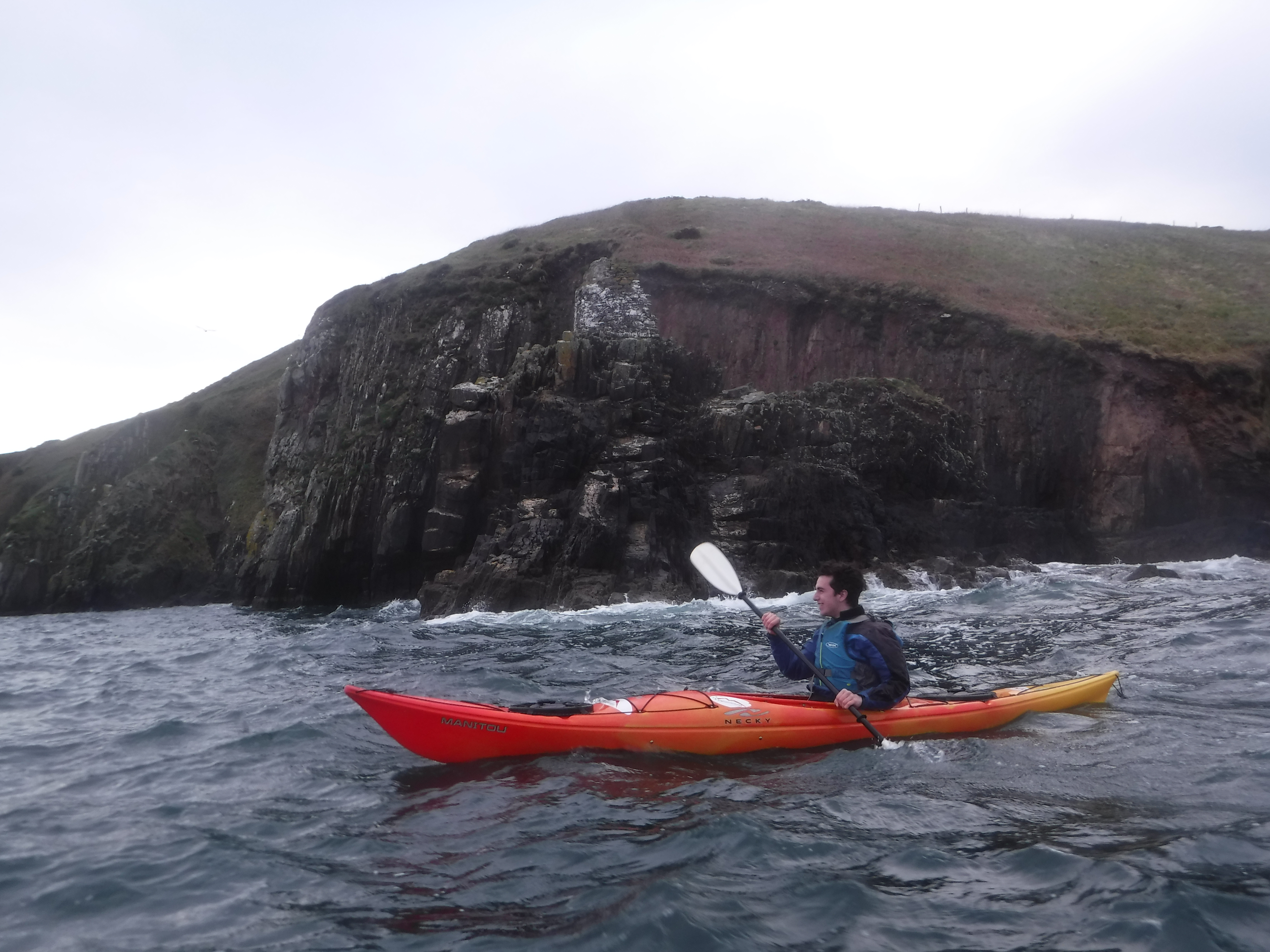 Kayaking in Dingle Harbor