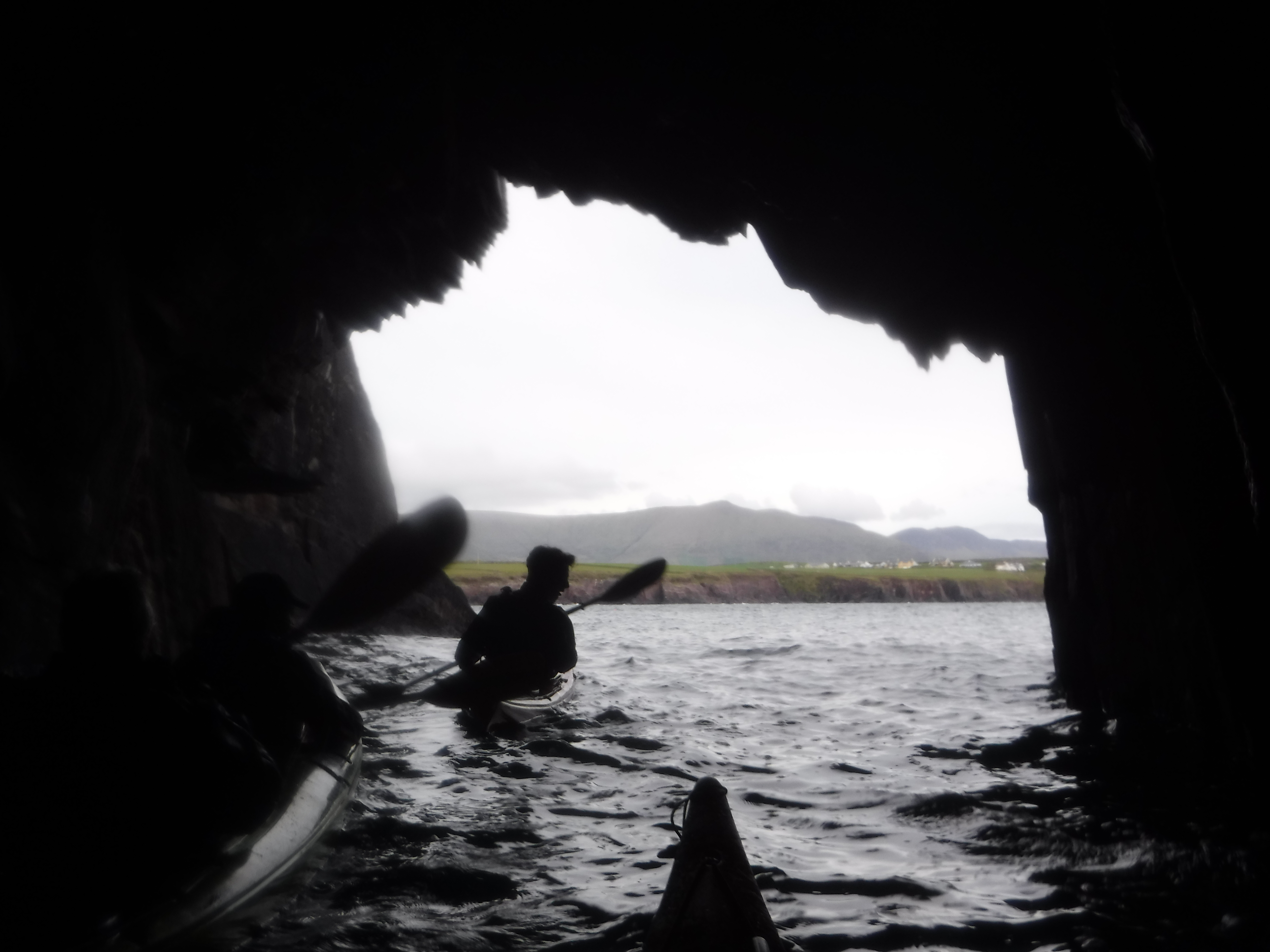 Kayaking in Dingle Harbor