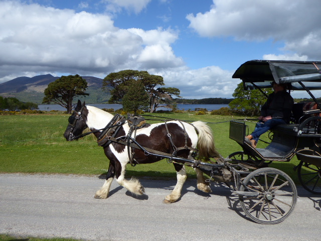 Jaunting car