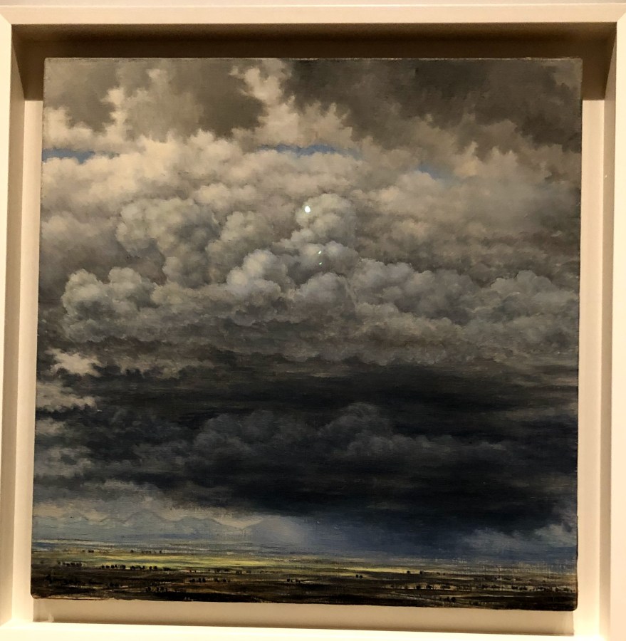 Savanna, Gonzalo Ariza, Colombia