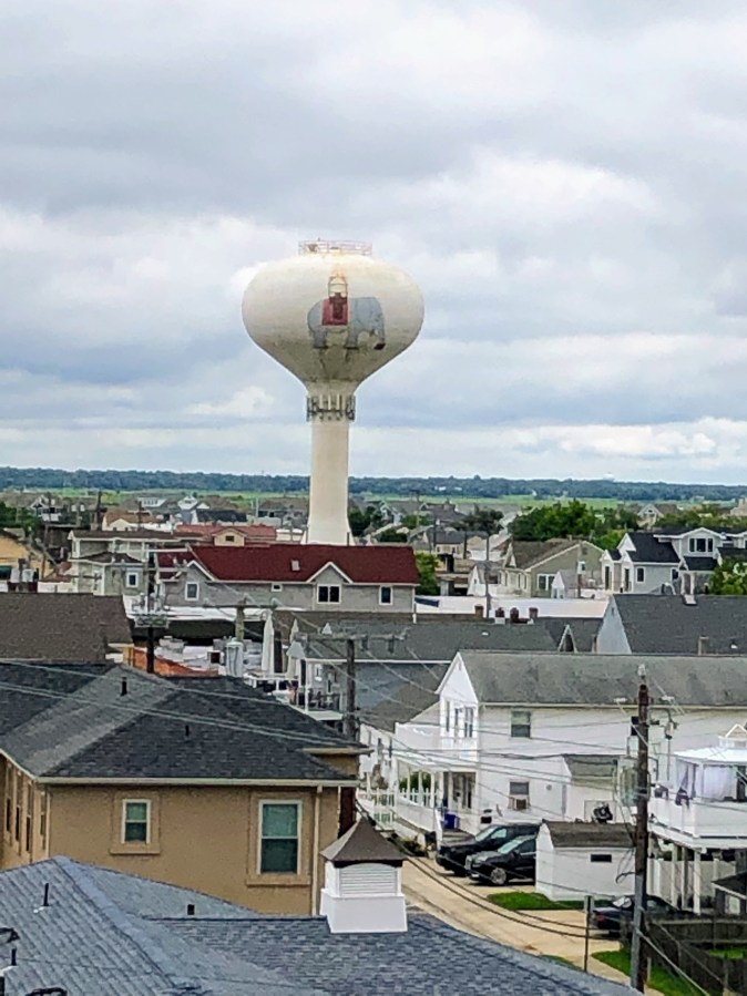 Lucy on water tower
