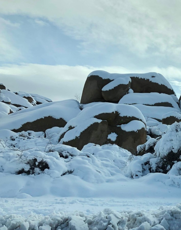 Joshua Tree National Park