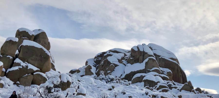 Joshua Tree National Park
