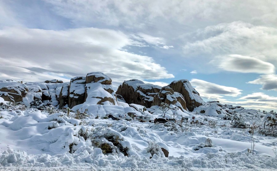 Joshua Tree National Park