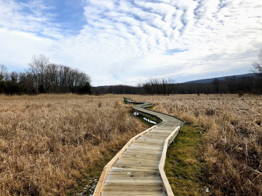 Pochuck boardwalk