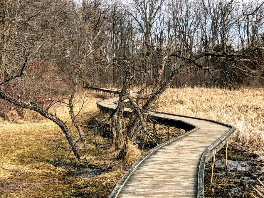 Pochuck boardwalk