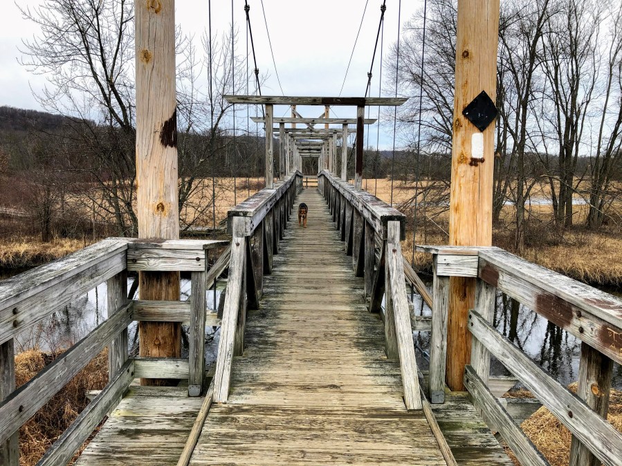 Pochuck boardwalk