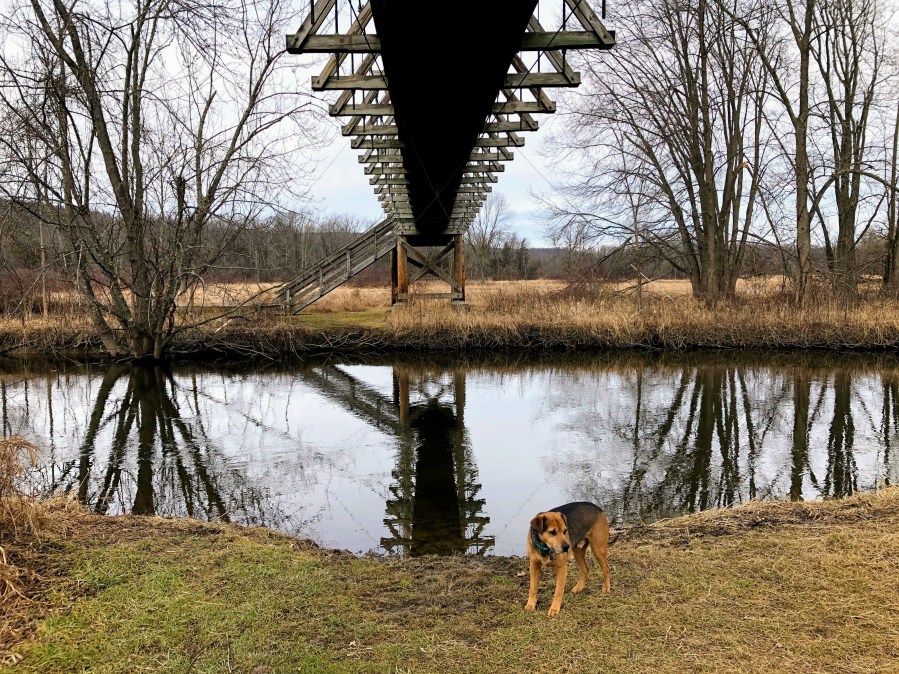 Pochuck boardwalk