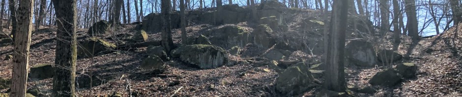 Garret Mountain Reservation