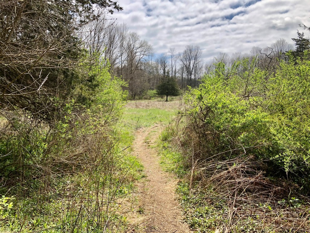 Goosepond trail