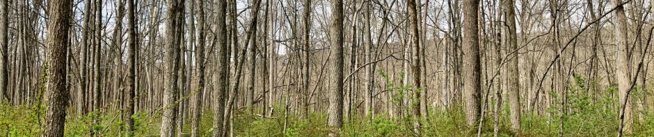 Goosepond Mountain State Park