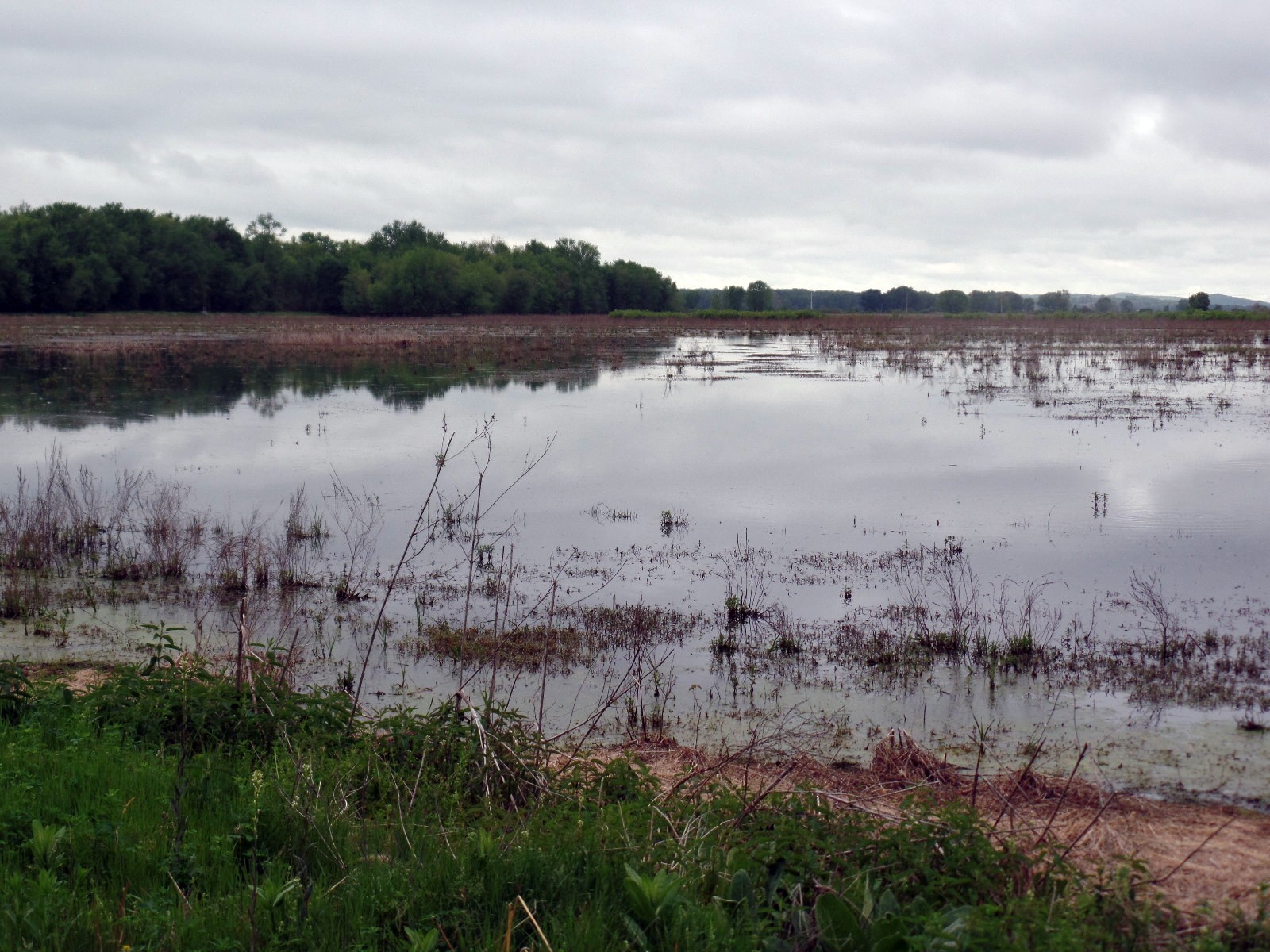 Wallkill River National Wildlife Refuge