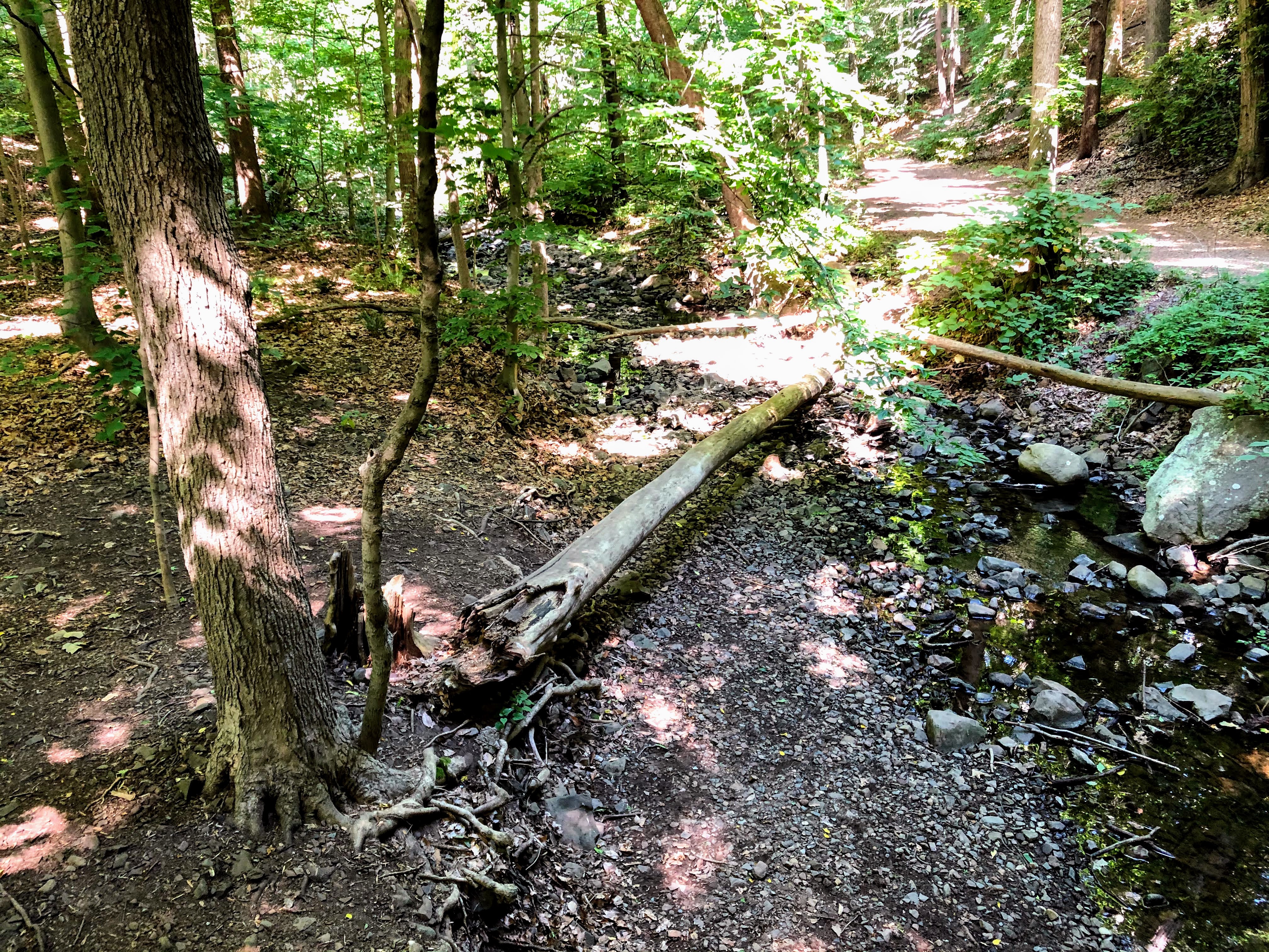 South Mountain Reservation
