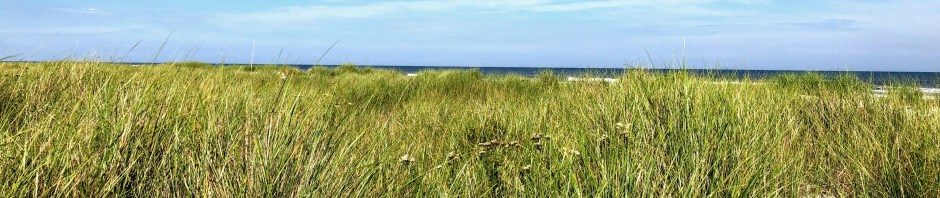 Avalon Dune and Beach Trail