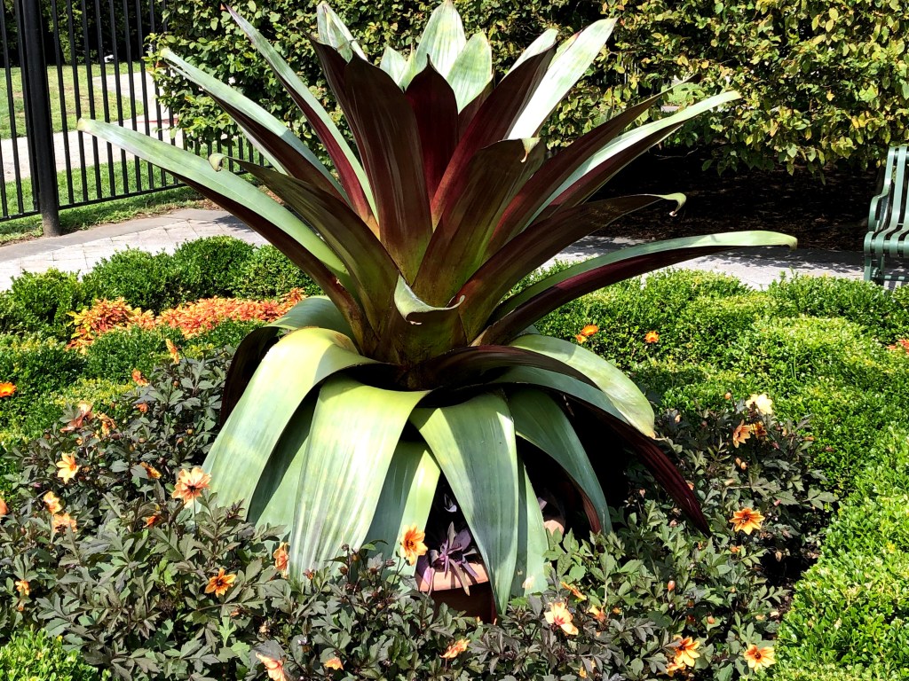 New York Botanical Garden