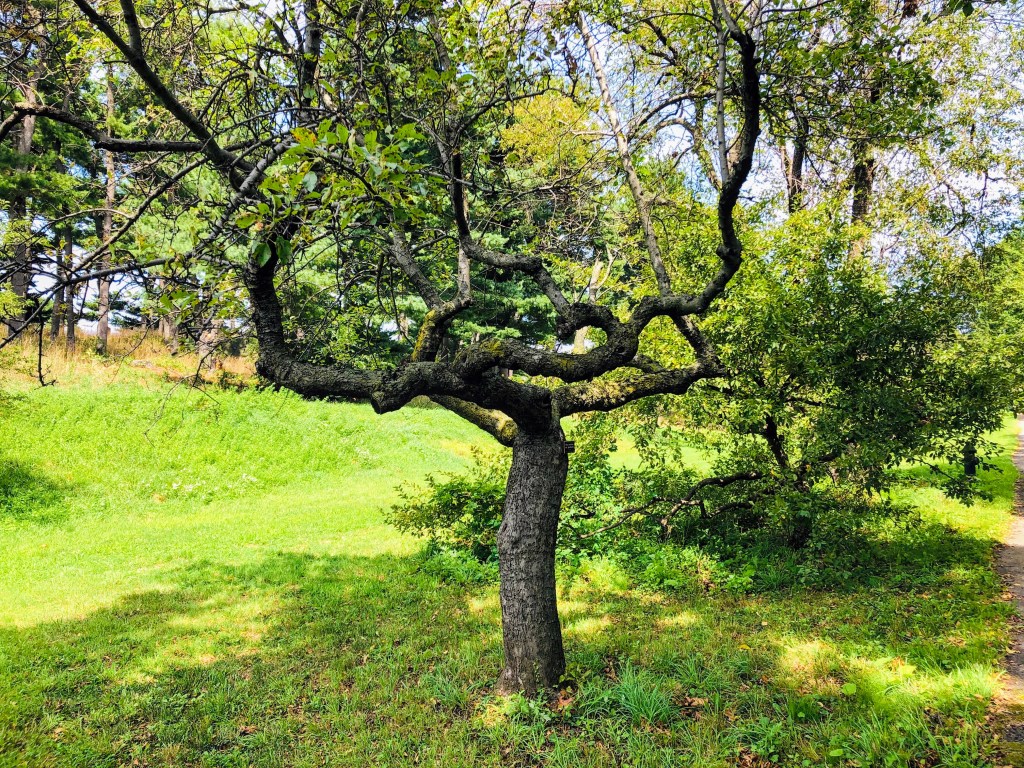 New York Botanical Garden