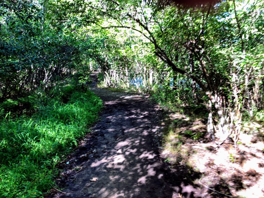 Franklin Lakes Nature Preserve