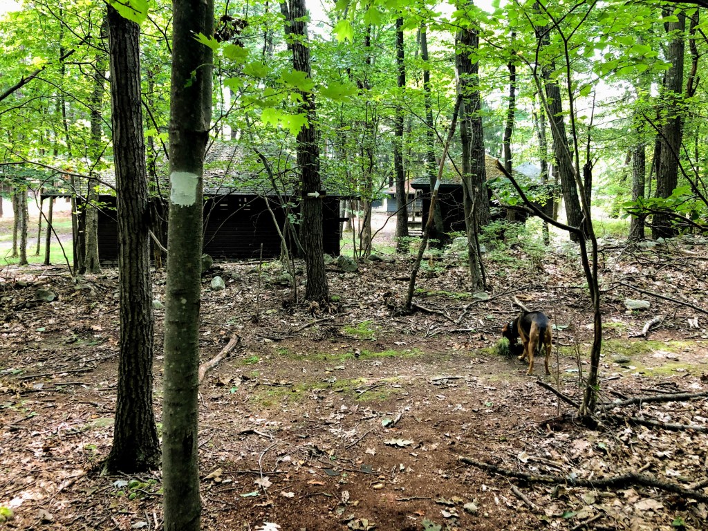 Cedar Lakes Estates hiking trail