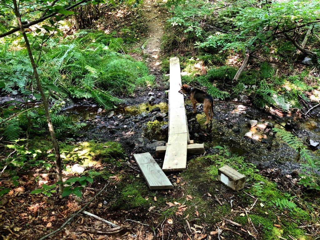 Cedar Lakes Estates hiking trail