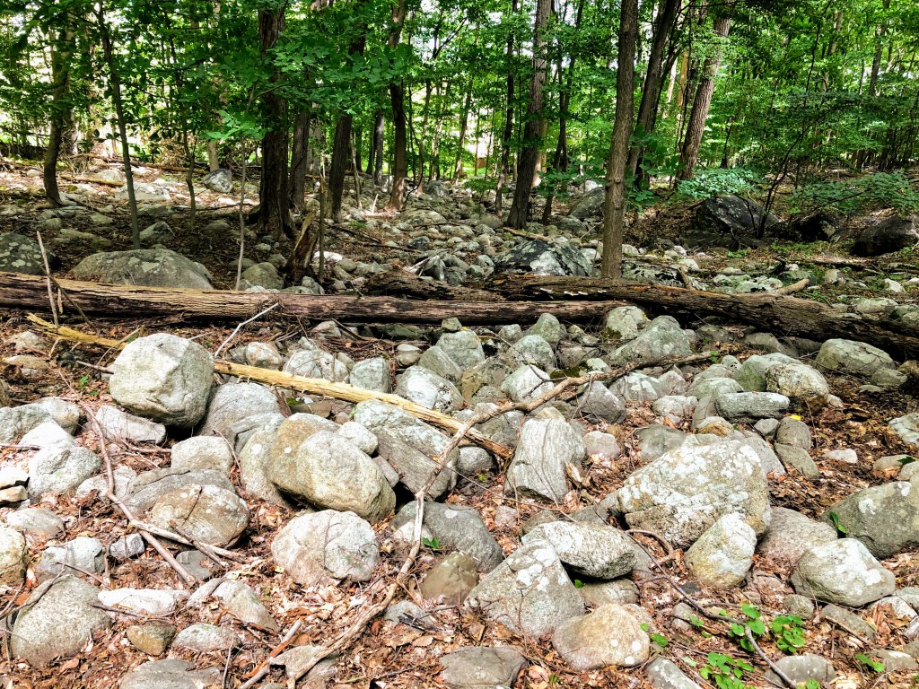 Campgaw Mountain Reservation