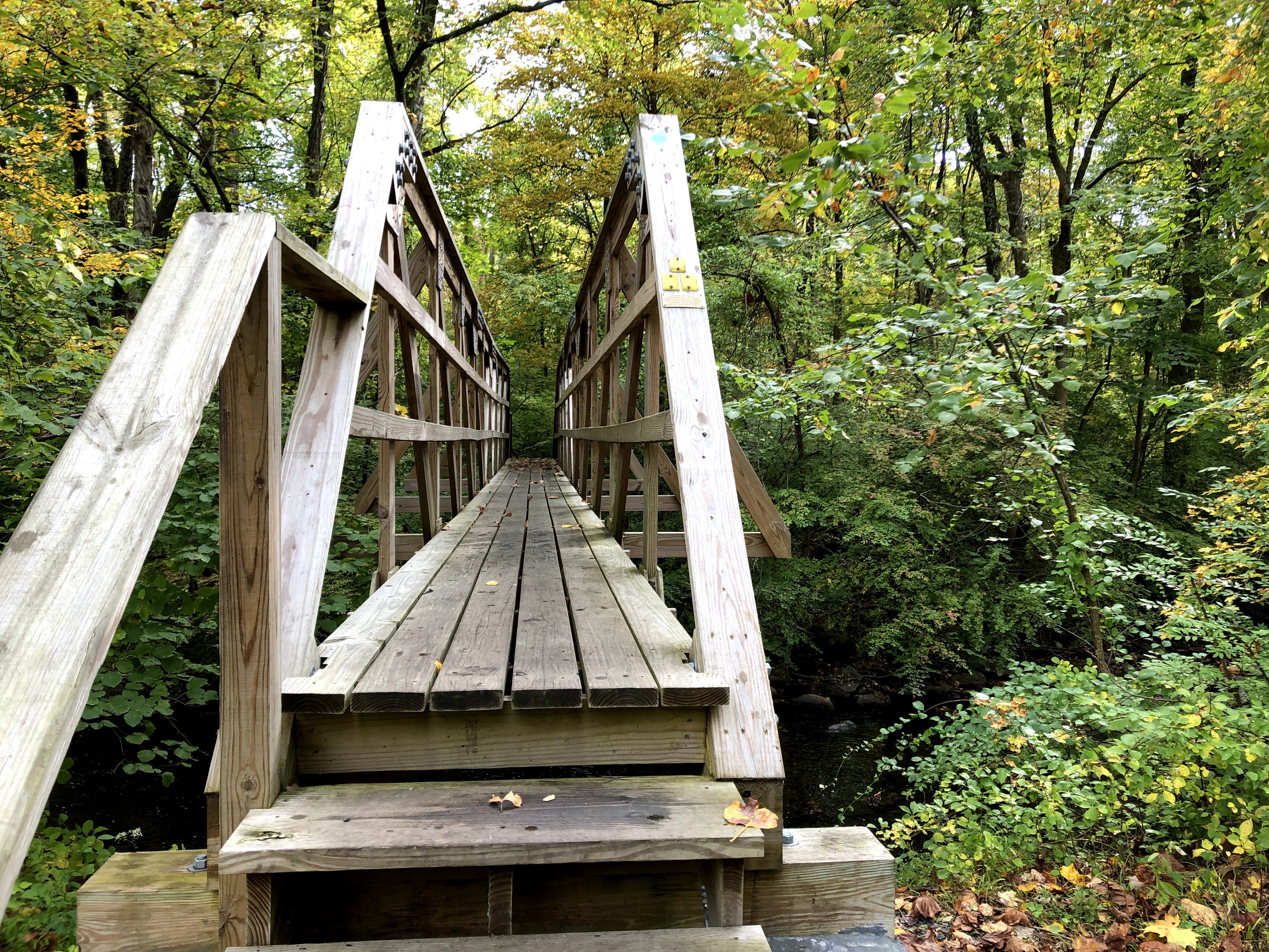 Hasenclever Iron Trail