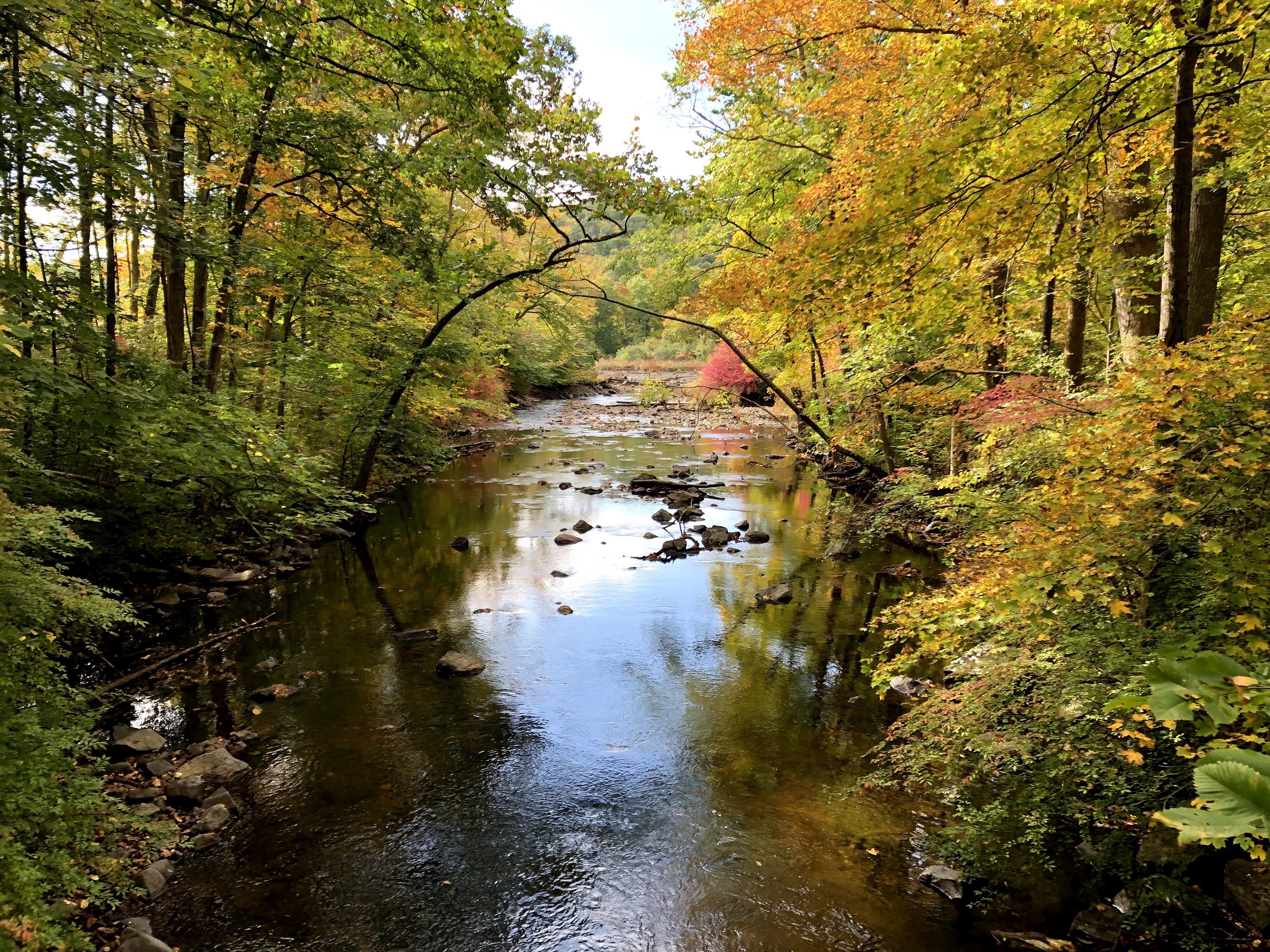 Long Pond Ironworks State Park