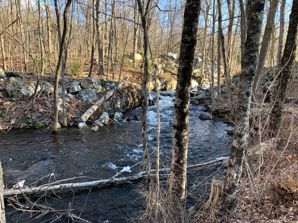 Wawayanda State Park stream