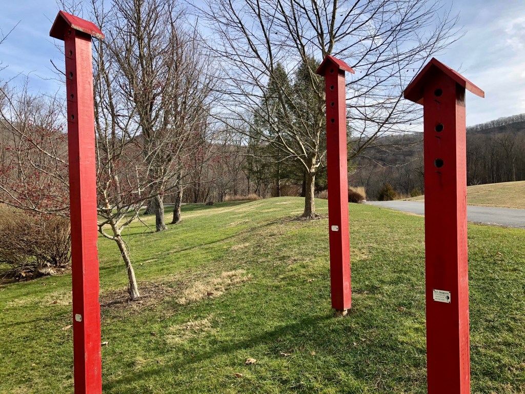 Seligman birdhouses