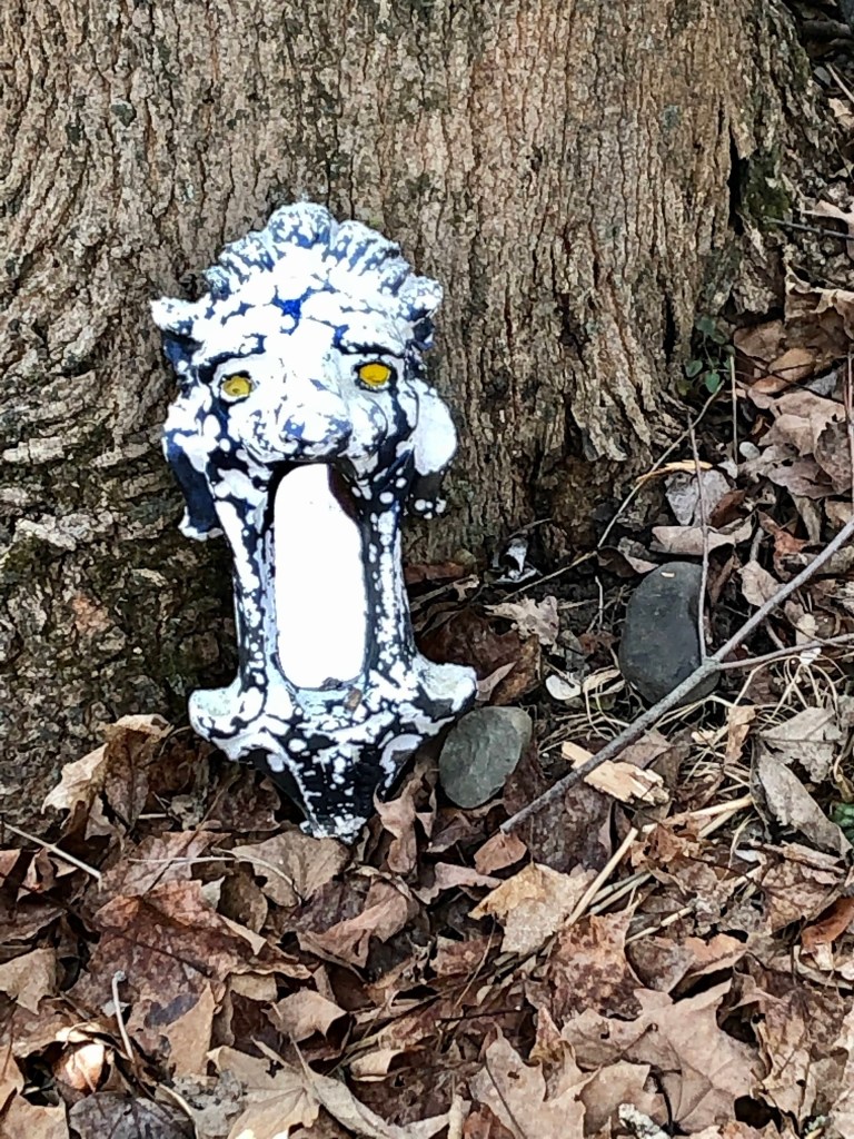 Woods behind Seligman house