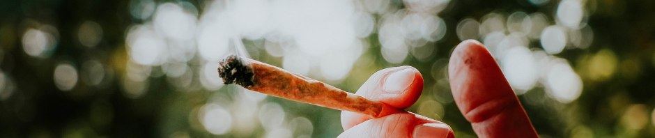 Image by Elsa Olofsson