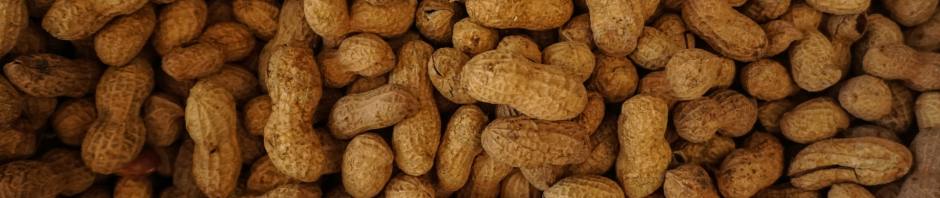 peanuts, by Tom Hermans