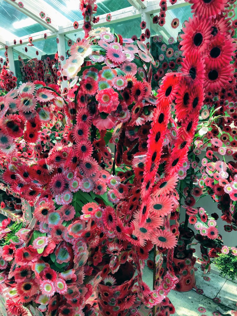 Flower Obsession, Kusama