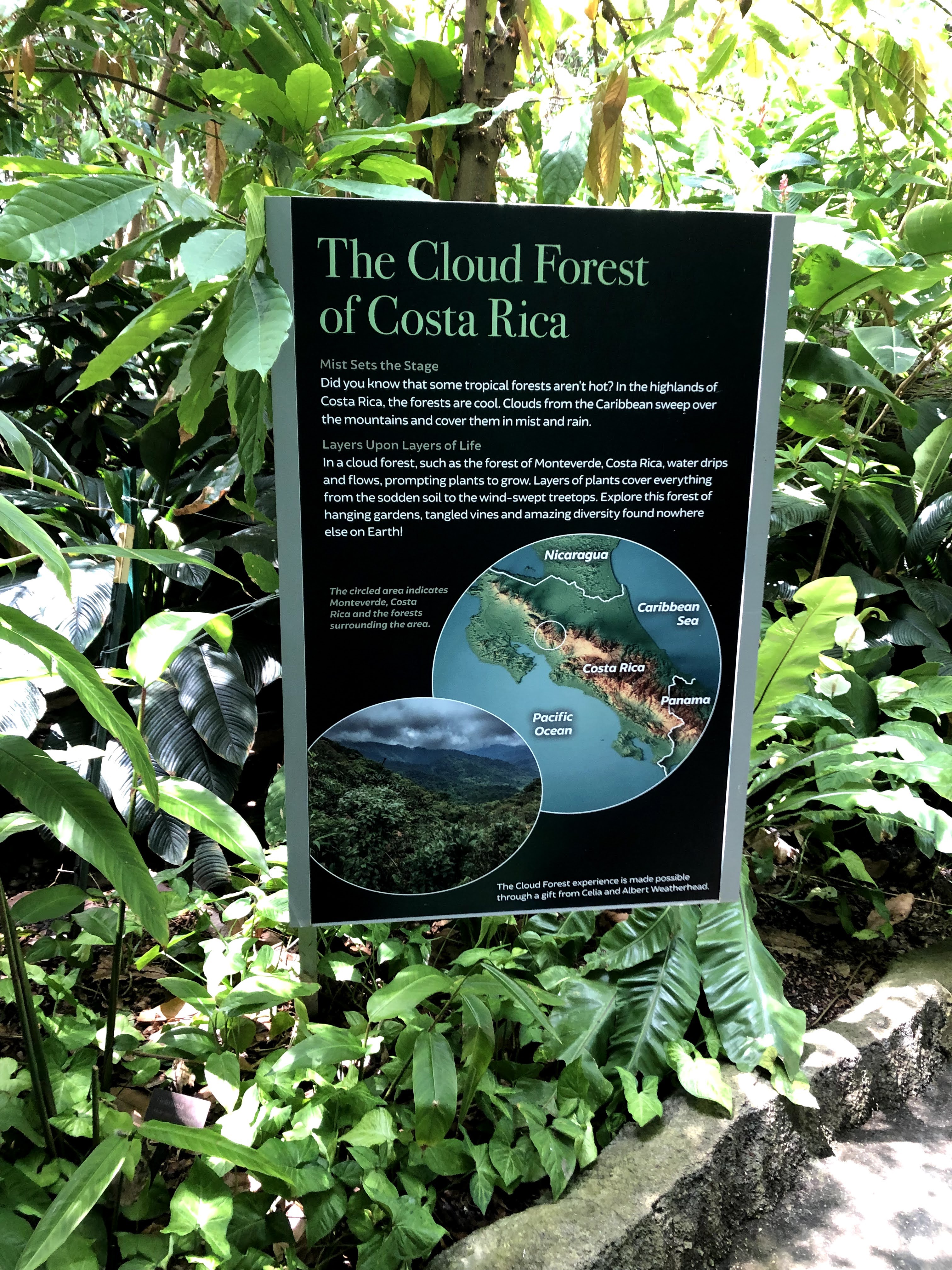 Holiday on the Hudson