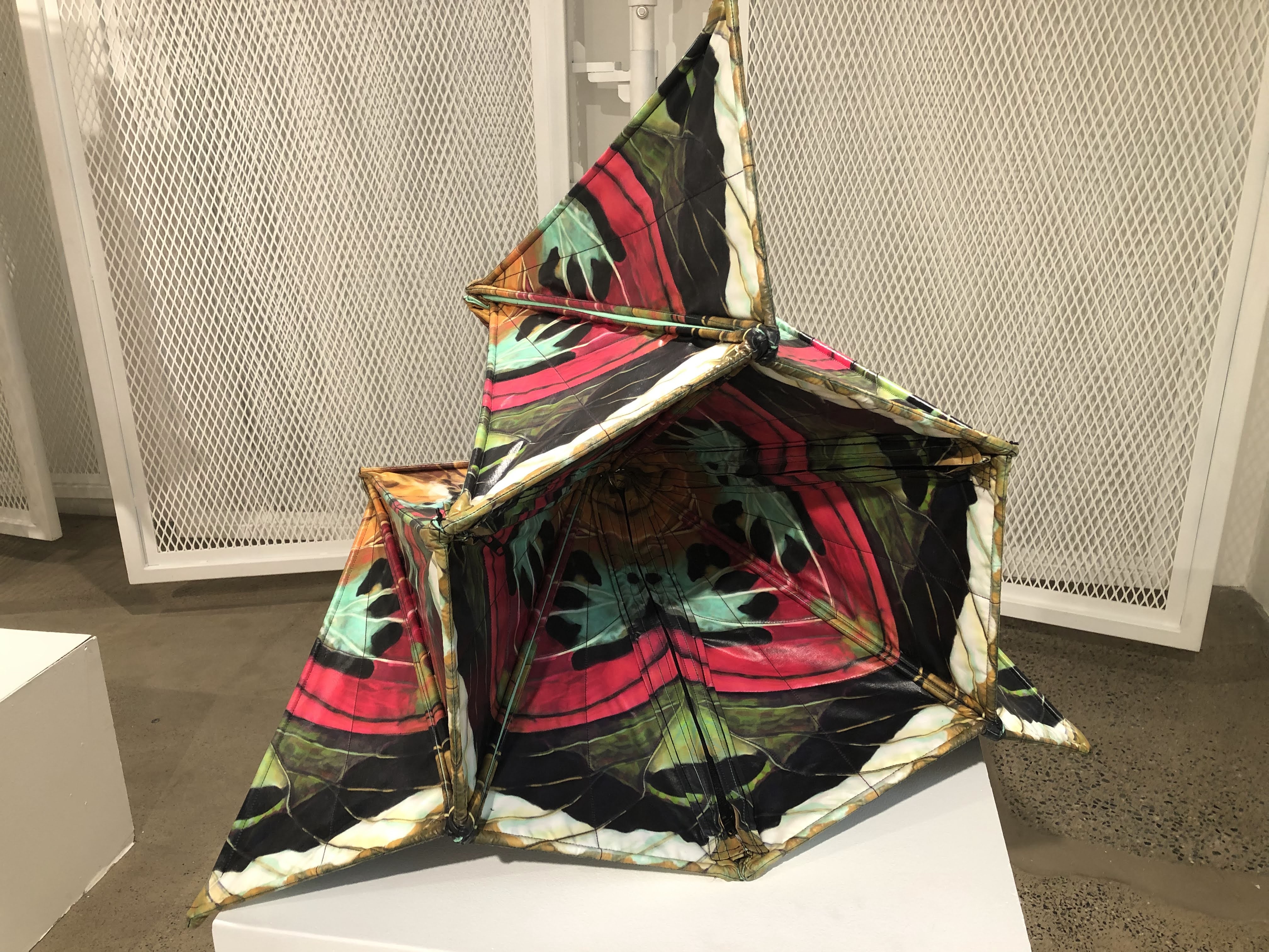 Nautilus, Anette Millington