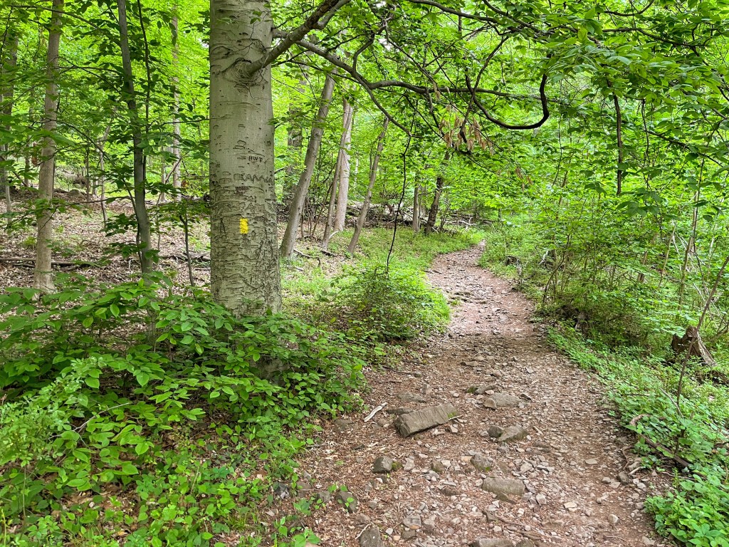 South Mountain Reservation