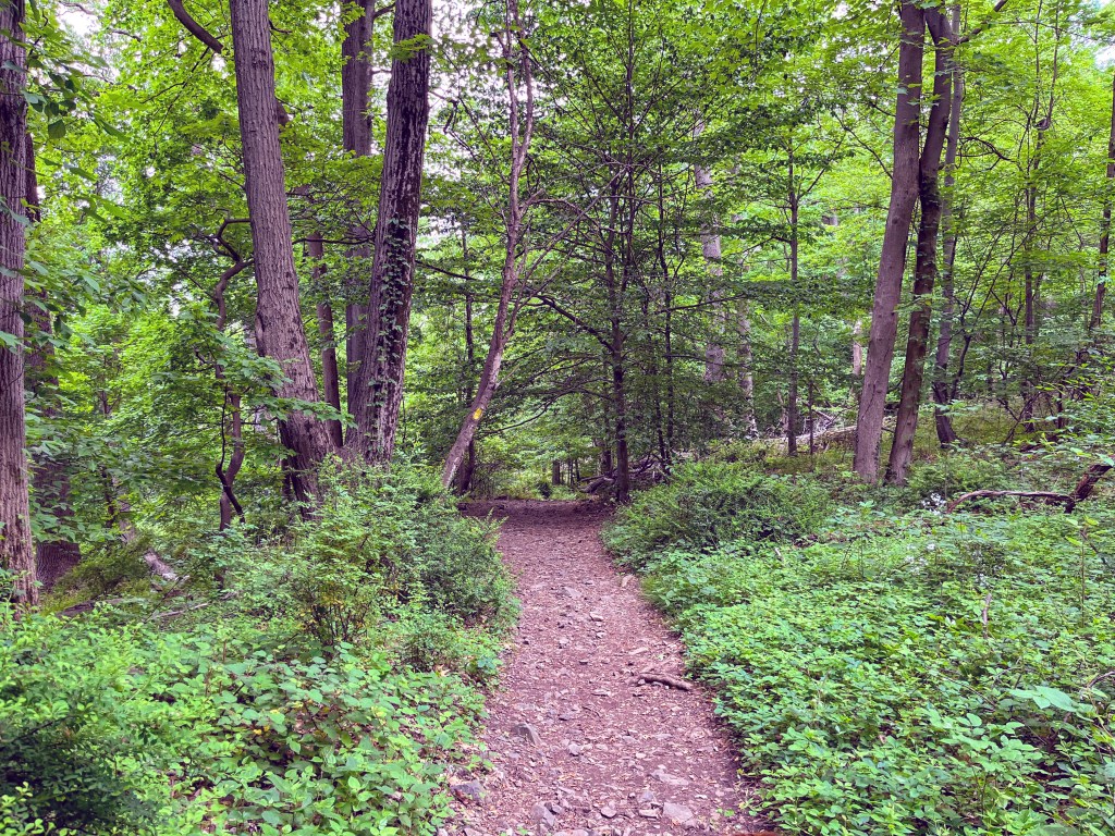South Mountain Reservation